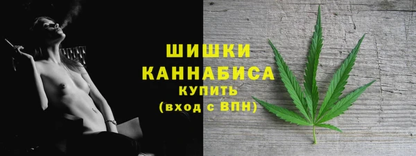 ПСИЛОЦИБИНОВЫЕ ГРИБЫ Аркадак