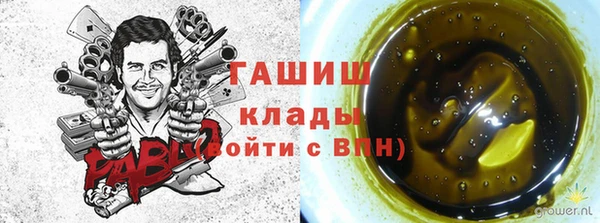 гашик Алексеевка
